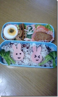 bento1702