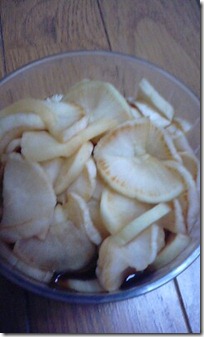 bento1901