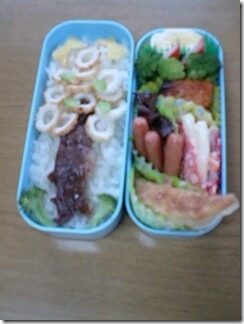 bento120