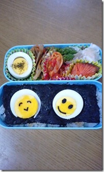 bento1040