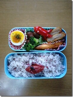 bento248