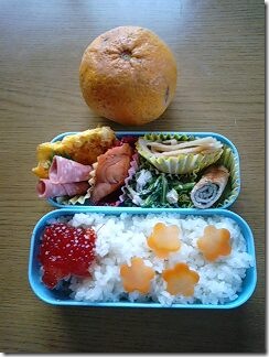 bento284