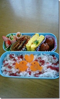 bento1200