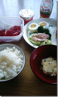 bento1295