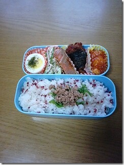 bento528