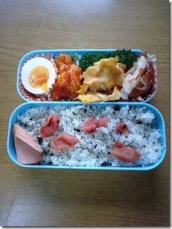 bento311