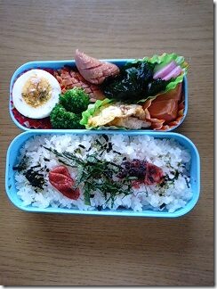 bento547