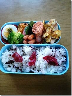 bento552