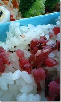 bento1353
