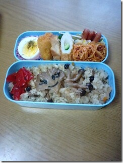 bento576