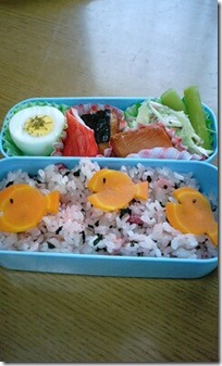 bento1504