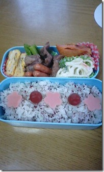 bento1544