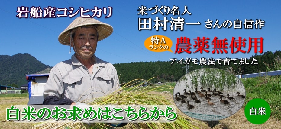岩船産コシヒカリ 無農薬米