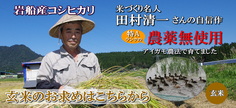 岩船産コシヒカリ 無農薬米 玄米