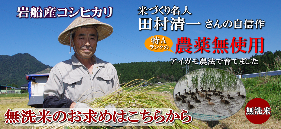 岩船産コシヒカリ 無農薬米 無洗米