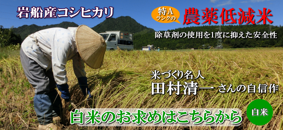 岩船産コシヒカリ 農薬低減米 無洗米