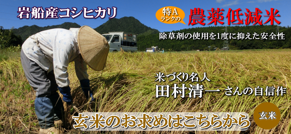 岩船産コシヒカリ 農薬低減米 玄米