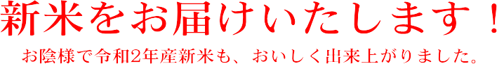 新米をお届けいたします。