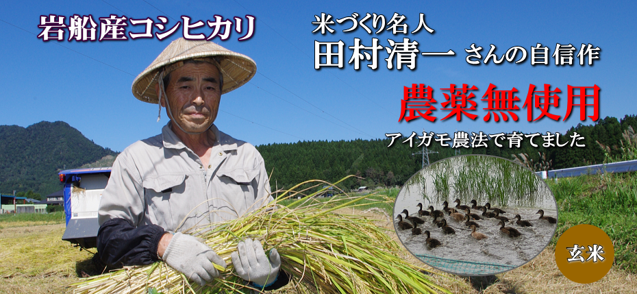岩船産コシヒカリ 無農薬米 玄米