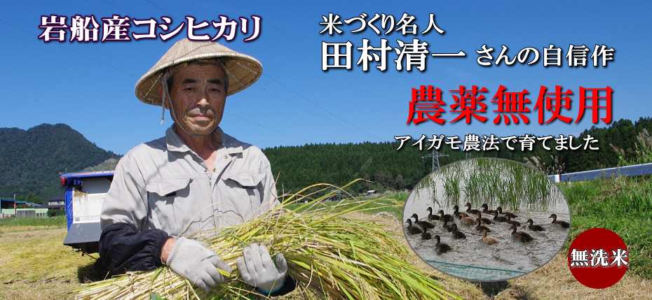 岩船産コシヒカリ 無農薬米 無洗米
