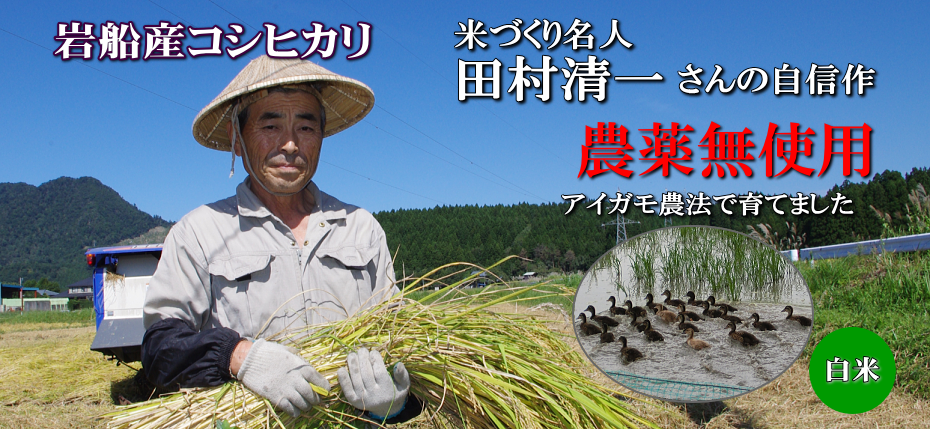 岩船産コシヒカリ 無農薬米