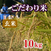 岩船産コシヒカリ こだわり米 玄米 10kg