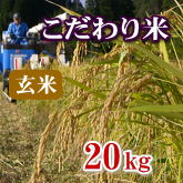 岩船産コシヒカリ こだわり米 玄米 20kg