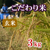 岩船産コシヒカリ こだわり米 玄米 3kg