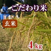 岩船産コシヒカリ こだわり米 玄米 4kg