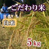 岩船産コシヒカリ こだわり米 白米（精米）5kg