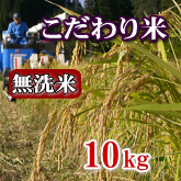 岩船産コシヒカリ こだわり米 無洗米 10kg