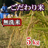 岩船産コシヒカリ こだわり米 無洗米 5kg