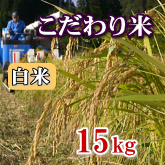 岩船産コシヒカリ こだわり米 白米（精米）15kg