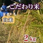 岩船産コシヒカリ こだわり米 白米（精米）2kg