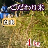 岩船産コシヒカリ こだわり米 白米（精米）4kg