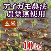 岩船産コシヒカリ 無農薬米 玄米 10kg