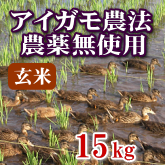 岩船産コシヒカリ 無農薬米 玄米 15kg