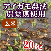 岩船産コシヒカリ 無農薬米 玄米 20kg