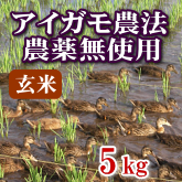 岩船産コシヒカリ 無農薬米 玄米 5kg