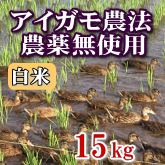 岩船産コシヒカリ 無農薬米 白米（精米）15kg