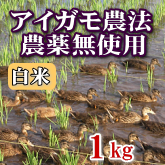岩船産コシヒカリ 無農薬米 白米（精米）1kg