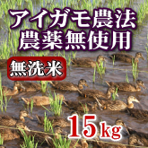 岩船産コシヒカリ 無農薬米 無洗米 15kg