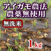 岩船産コシヒカリ 無農薬米 無洗米 1kg