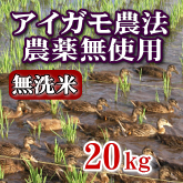 岩船産コシヒカリ 無農薬米 無洗米 20kg