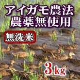 岩船産コシヒカリ 無農薬米 無洗米 3kg