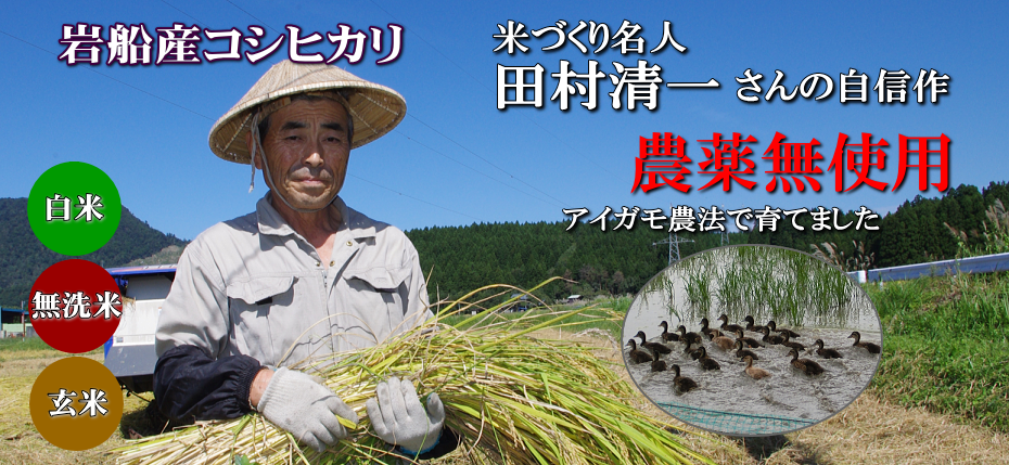 岩船産コシヒカリ 無農薬米