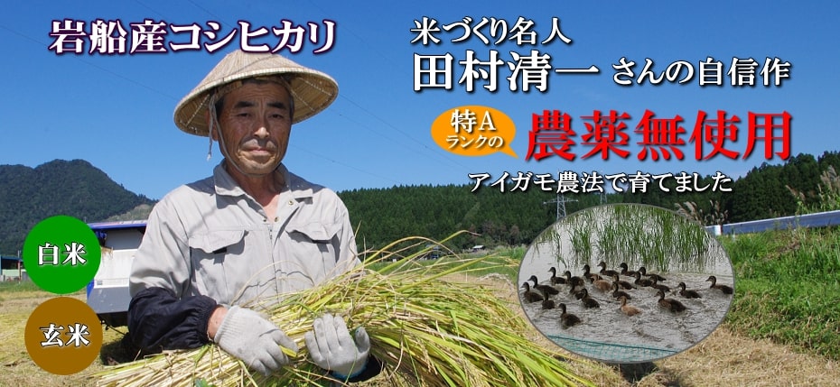 岩船産コシヒカリ 無農薬米