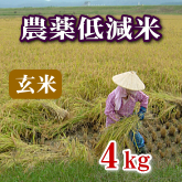 岩船産コシヒカリ 農薬低減米 玄米 4kg