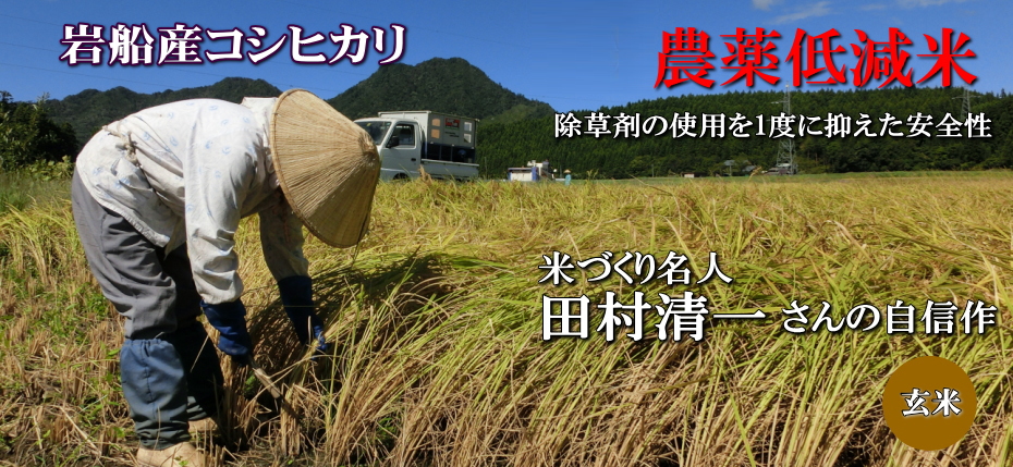岩船産コシヒカリ 農薬低減米 玄米