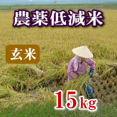 岩船産コシヒカリ 農薬低減米 玄米 15kg